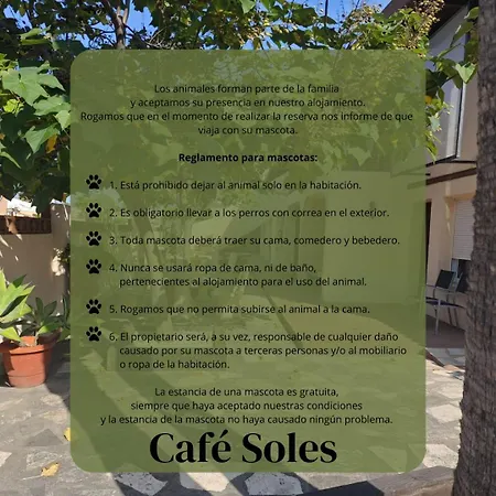 بيت ضيافة Cafe Soles
