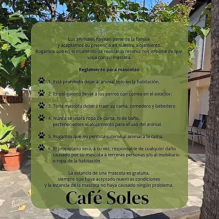Cafe Soles 3* Denia