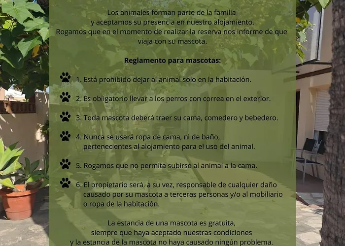 Pensión Café Soles